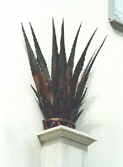 palm leaves