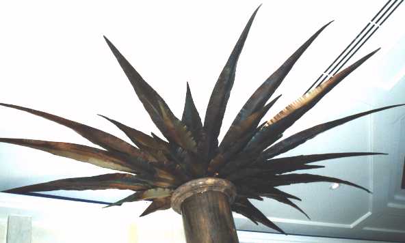 palm leaves