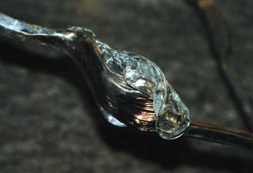 metal & glass