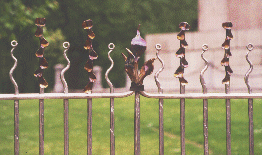 Railings in Hyde Park, London